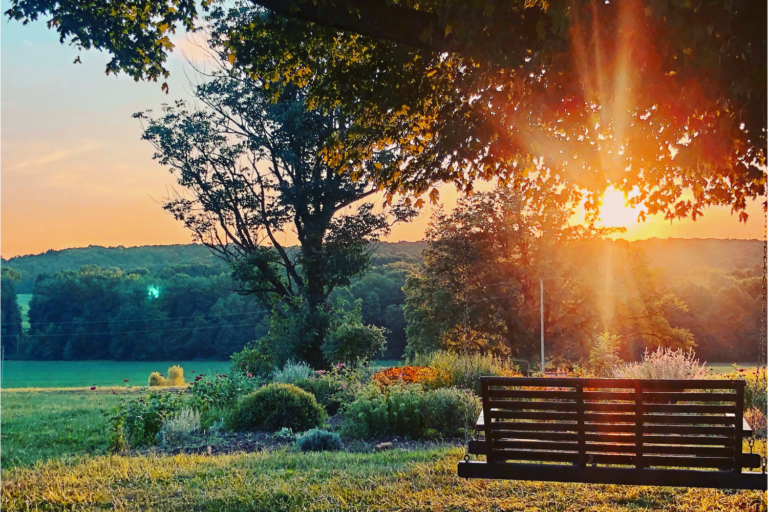 Swing facing garden during sunset.