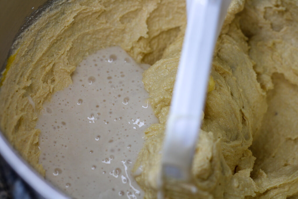 Sourdough discard in cookie dough