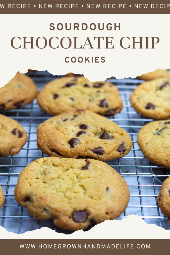 Sourdough Chocolate Chip Cookie Pinterest Pin
