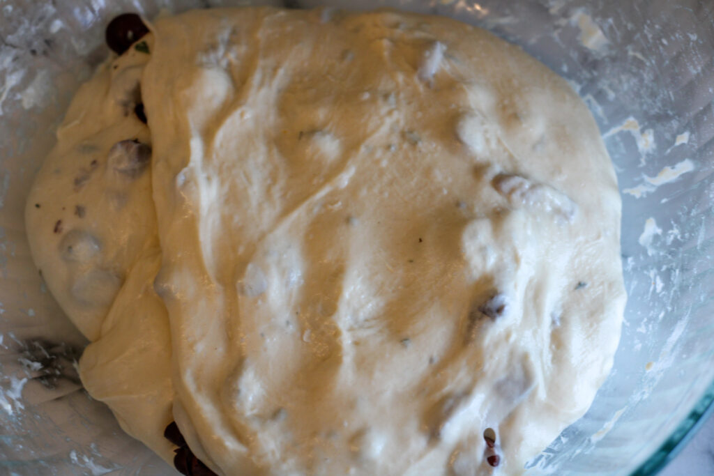 Sourdough bread dough with olives and rosemary folded in. 