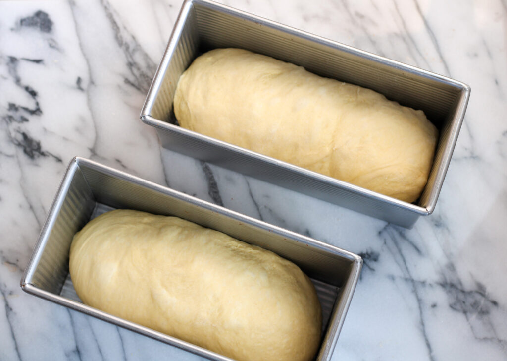 Two bread pans with unprooved bread in them. 