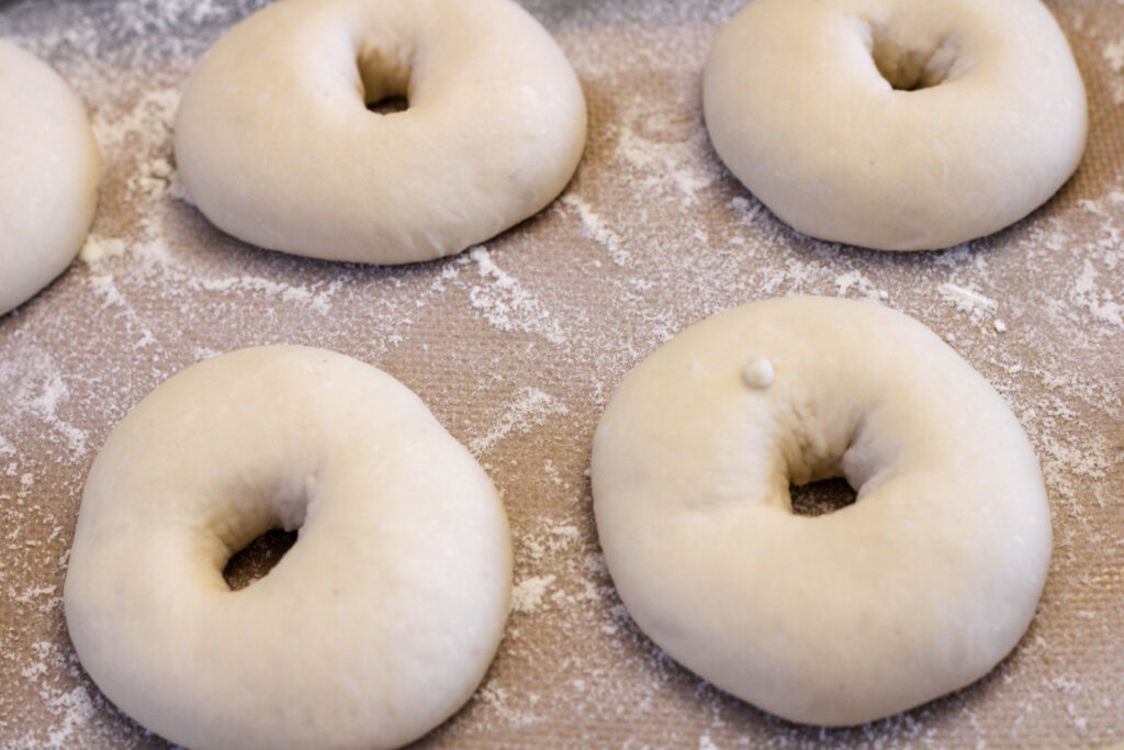 Unbaked sourdough bagels on baking sheet.