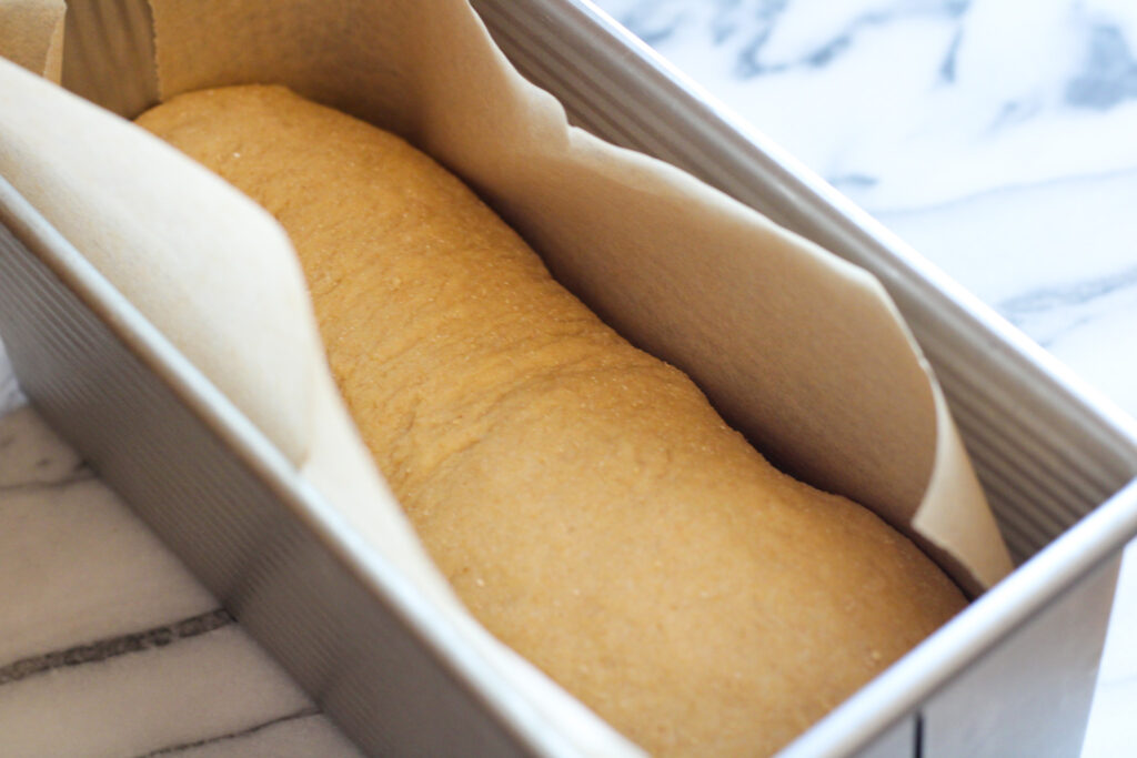 Bread dough in loaf pan. 