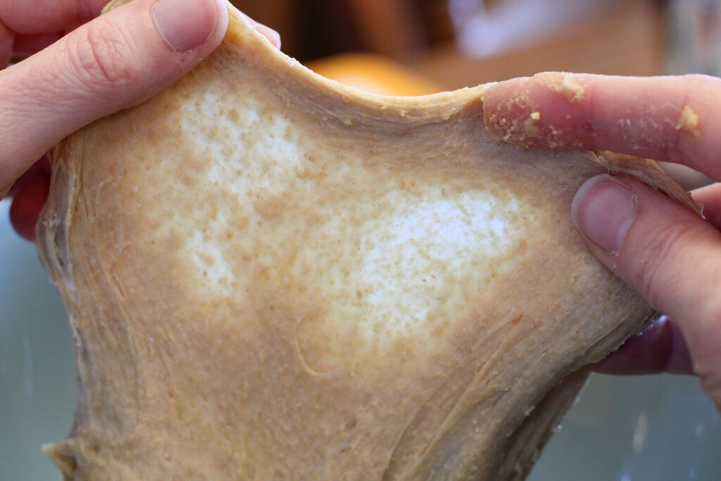 Window pane test with fresh milled flour. 