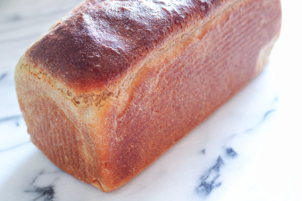 Loaf of sandwich bread on countertop. 