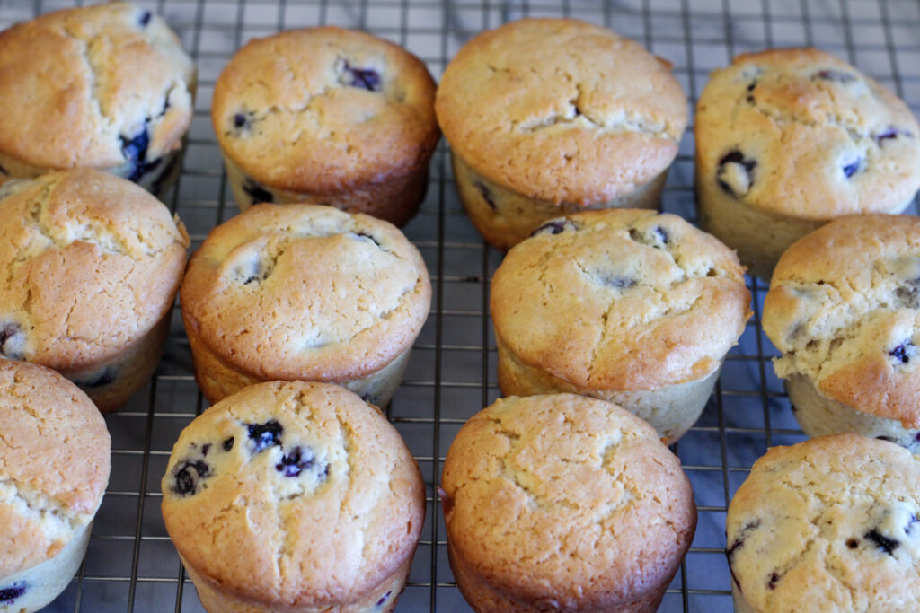 Blueberry muffins on cooling rack. 