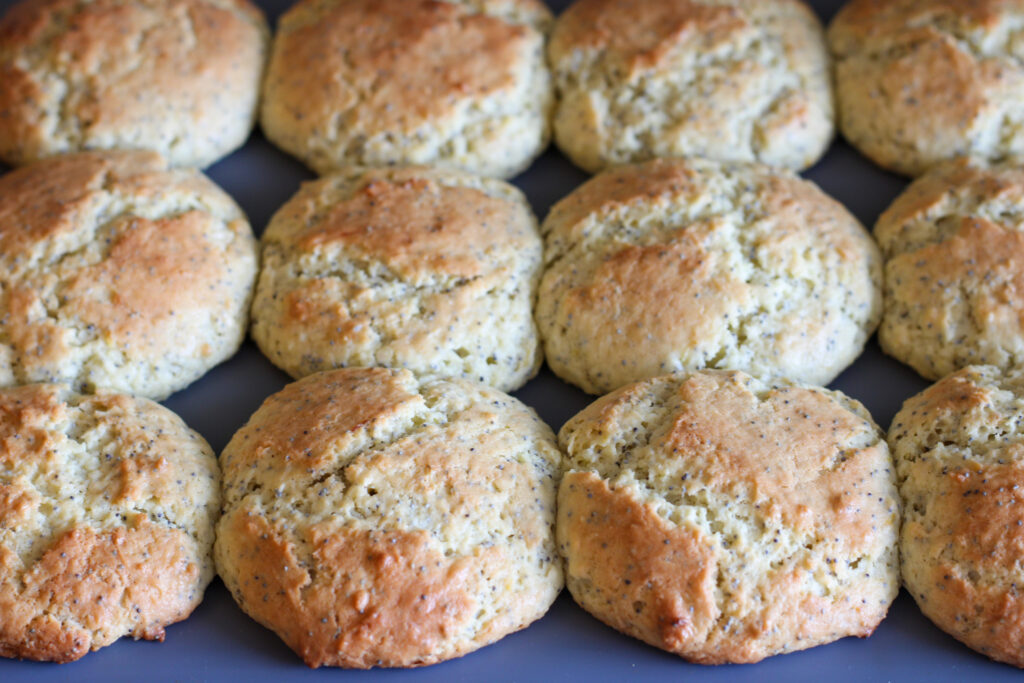 Sourdough Lemon Poppyseed Muffins in Baking Tray