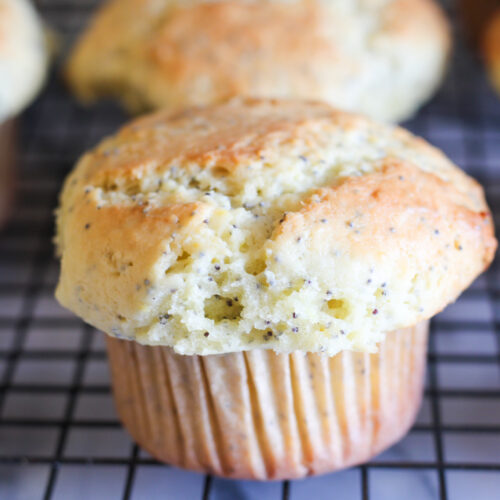 Sourdough Lemon Poppyseed muffin
